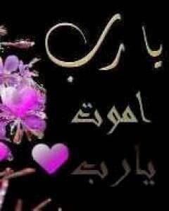 com_zeezo tweet picture