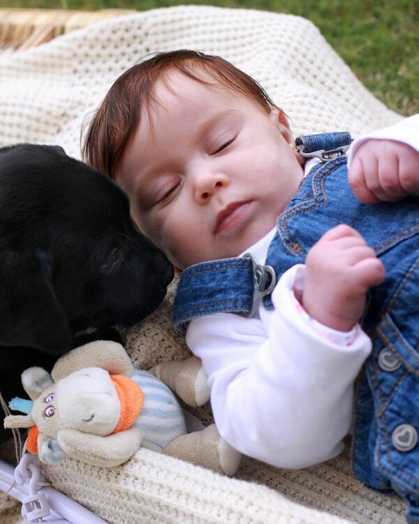 halademerdash's tweet photo. #Sara &amp; the black #puppies   
come to see the album &amp; like my page :)
https://t.co/kodYJWJXnB http://t.co/6QXWMjv1hh