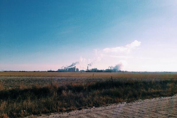 Woolferd's tweet image. the worst things are the most beautiful