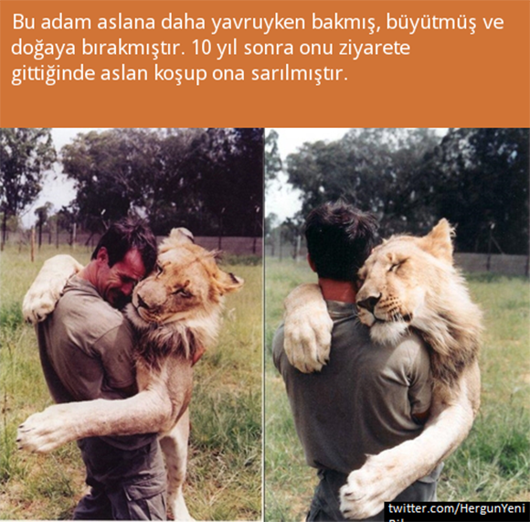 Her gün 1 Yeni Bilgi (@hergunyenibilg) on Twitter photo 