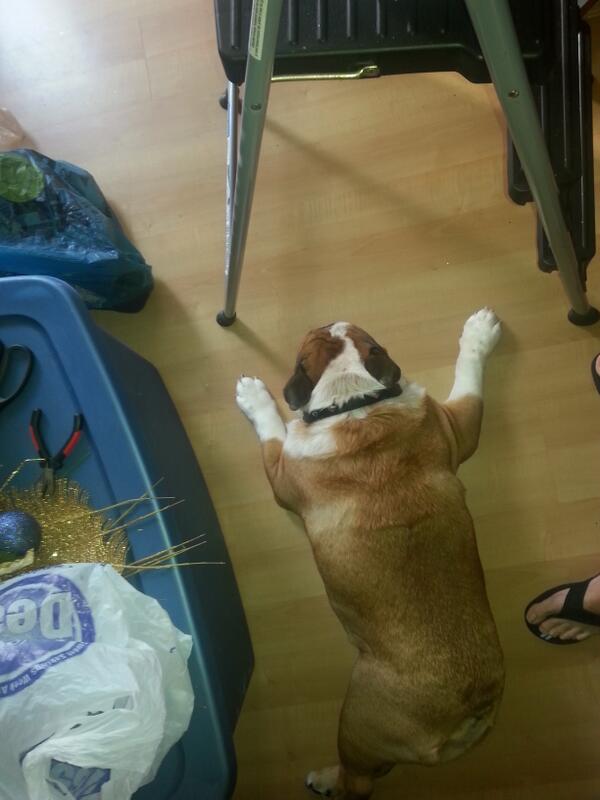 PrissynEJBullys's tweet image. When Im helwping Mom wif stuff she uses dis term"Rite-ina-way"all da times.She speaks so mush gibberish.#BwessHerHart