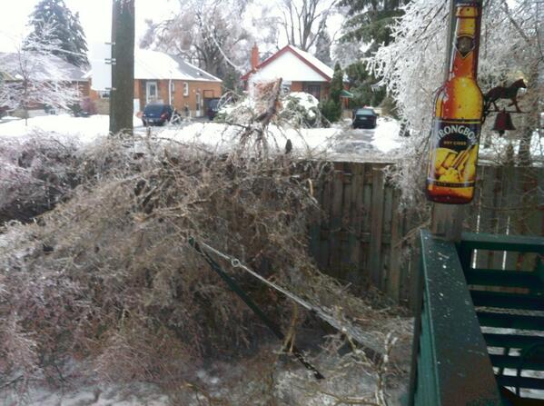 BrandonGodier's tweet photo. Tree destruction! @CP24 http://t.co/1I6Ar8kOYQ