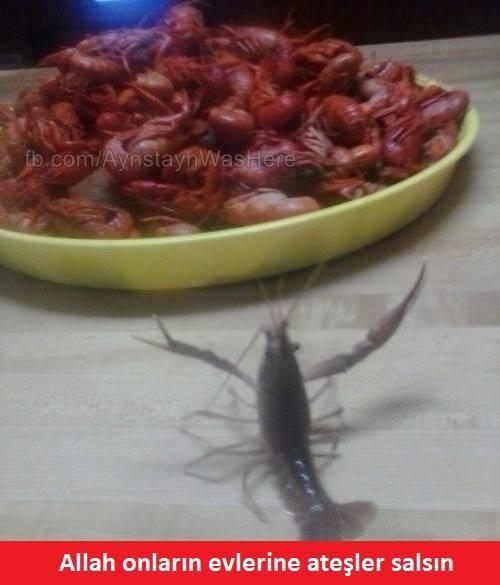 Allah onların evlerine ateşler salsın :)))))