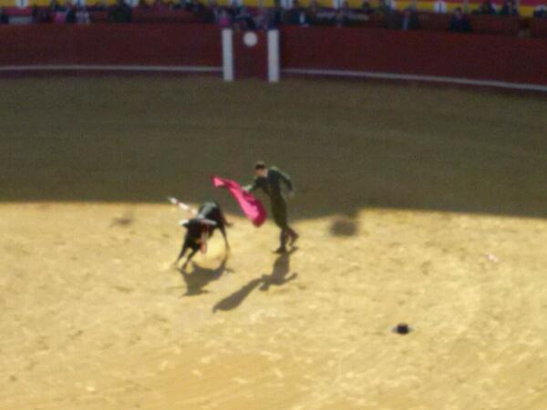 juanda19z's tweet photo. Buena mañana viendo torear a @emilio_gimeno http://t.co/VVfwBfUTRk