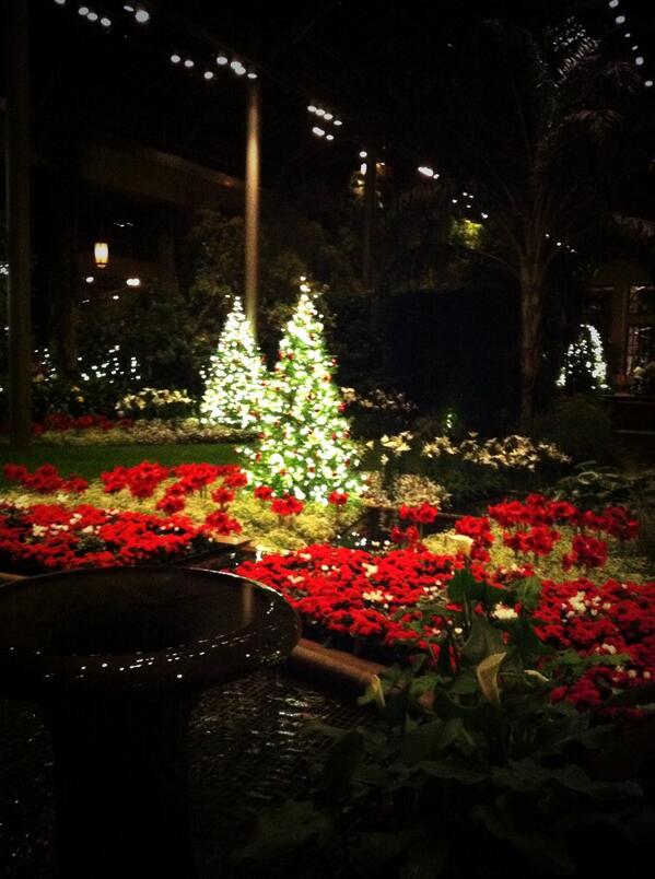 WilmDEGirl's tweet photo. The best way to spread Christmas cheer is by visiting @longwoodgardens ! http://t.co/Jt8PJATymJ