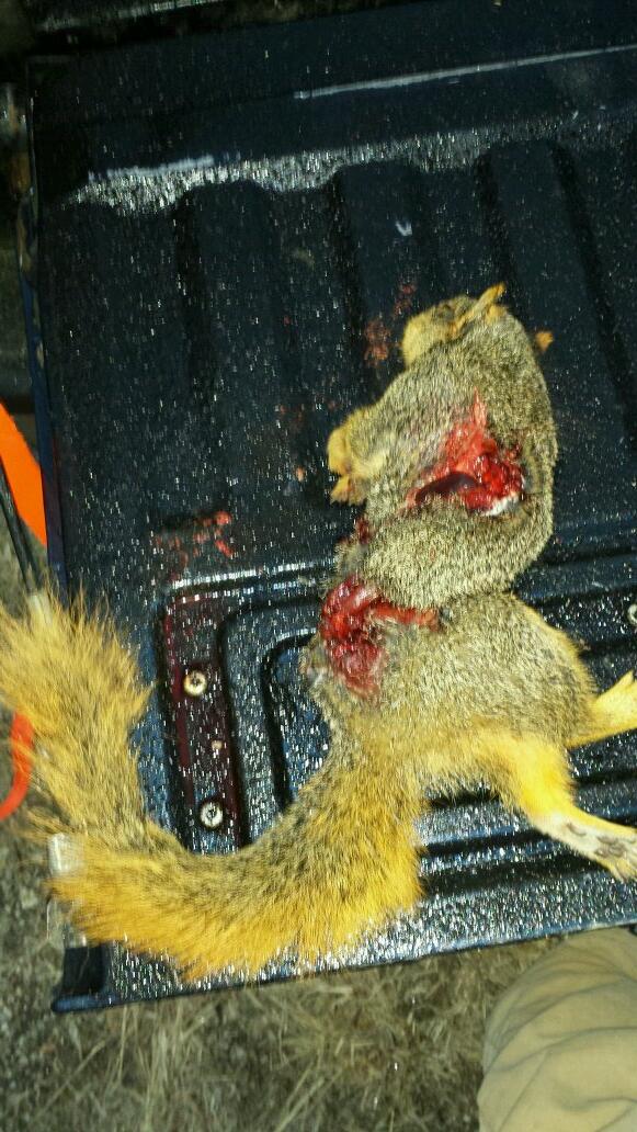This is what happens when you get trigger happy while deer hunting