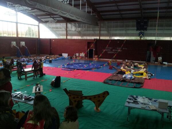 Angela Fernandez tweet media