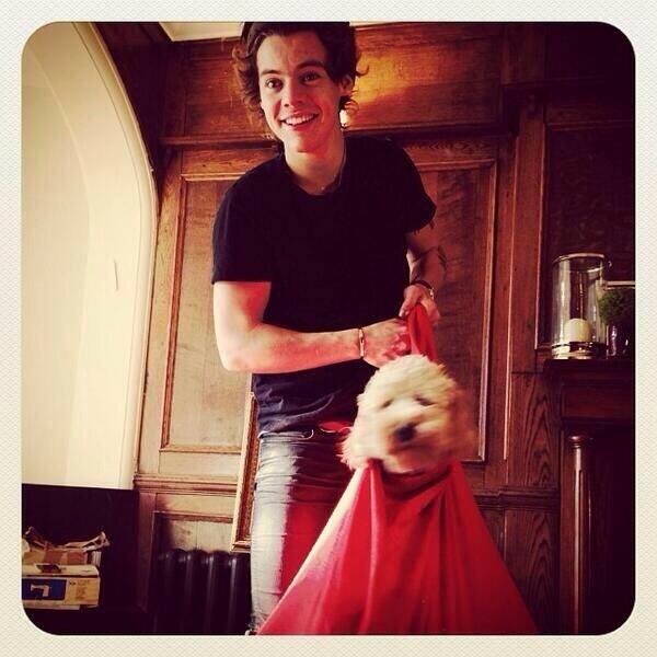 HARRY STOP BEING SO ADORABLE