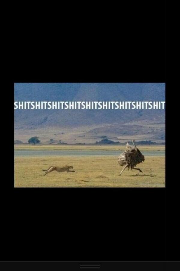 BaseballLifee6's tweet image. When you get caught in a pickle and you&apos;re just like....