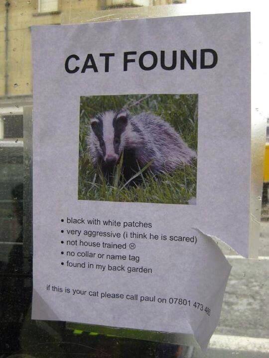 RussyG1980's tweet photo. @BadgerCurious http://t.co/0F2i6L40FG