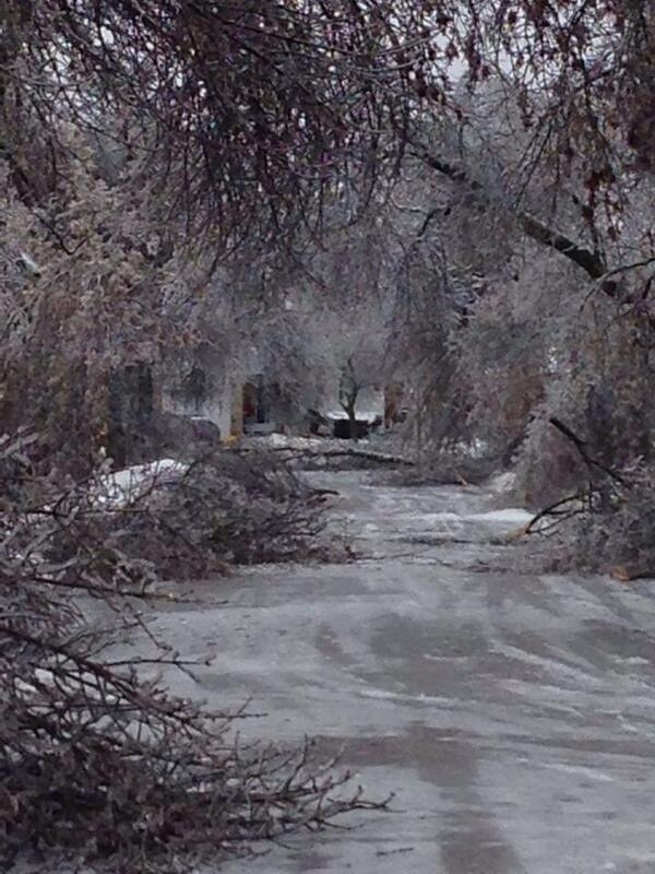 Anthony DM tweet media