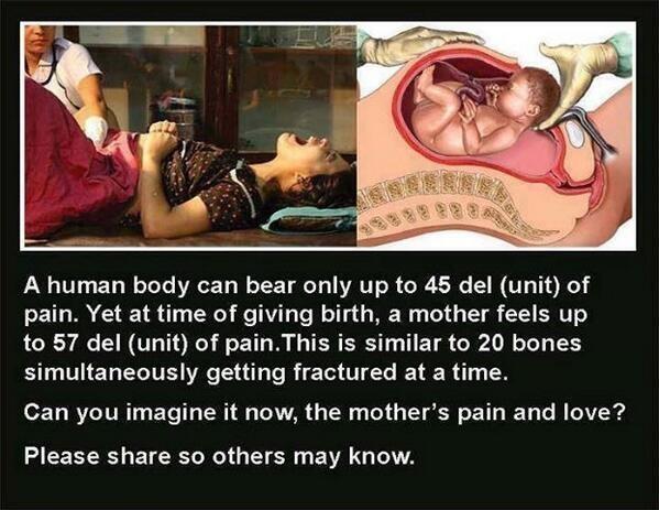 AwwAnimaIs's tweet image. Can you imagine?