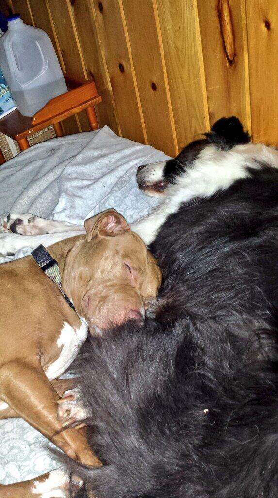 ScientistSound's tweet image. 