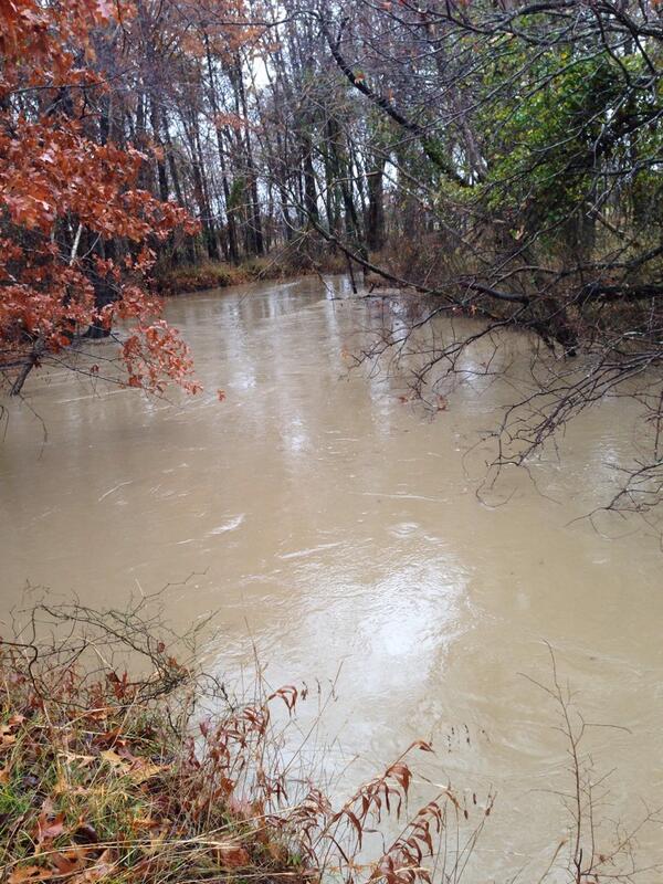 ProactiveDiag's tweet image. Creek is up.