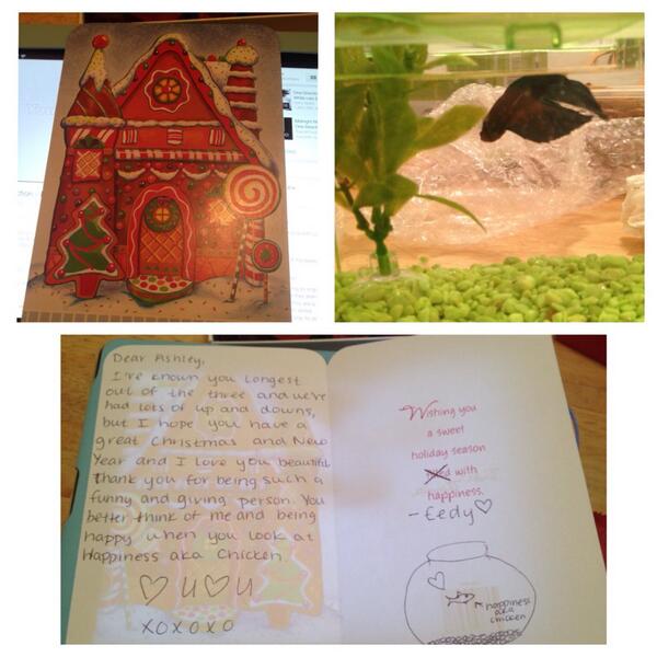 ashpay123's tweet image. LOOK AT WHAT EEDY GOT ME @e_d_doyon #afish