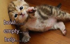 gentlybently's tweet photo. http://t.co/mMCDBPBiCw