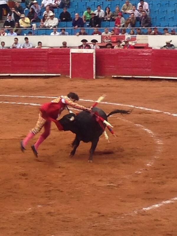JessBV's tweet photo. @EduardoGalloE ganando tu oreja!!! Felicidades matador ! Plaza de toros México ! http://t.co/oAUdvGiKkt