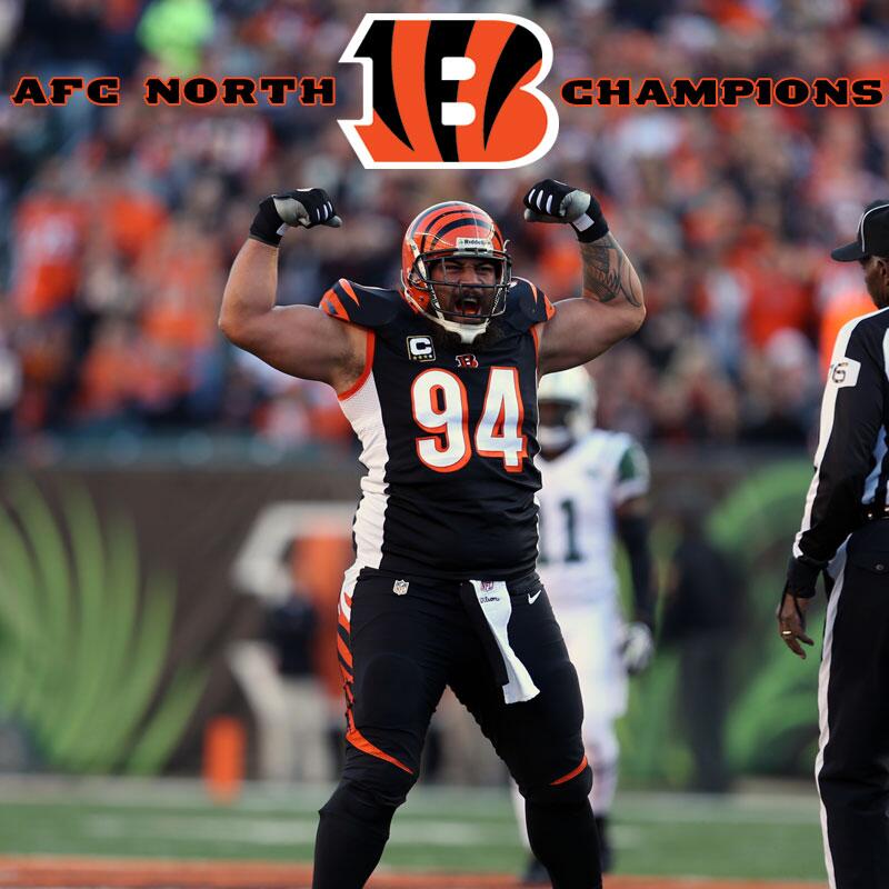 bengals afc north champs