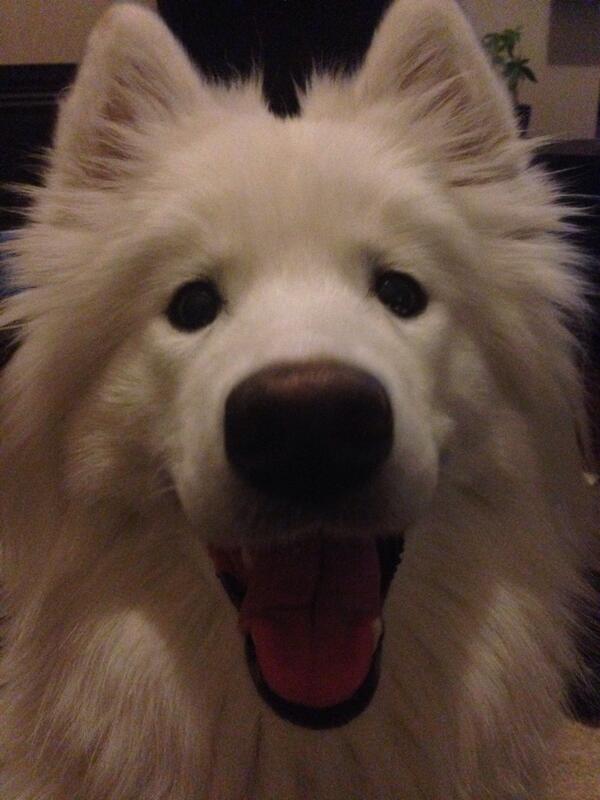 joickle's tweet photo. Someone is happy! http://t.co/I1y9JxU0im
