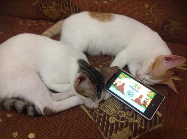 educastudio's tweet photo. One, Two, Three,.... Opsss... Kelelahan belajar "Marbel Learns Numbers" di Windows Phone Nih.. http://t.co/HXi6wCWfC3