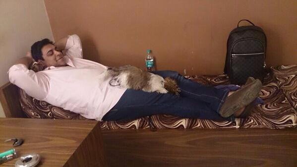 Embedded image permalink