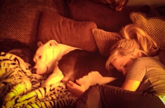 If you'd like to do something meaningful this Christmas... ???
#Rescue #Adopt #PitBulls #SaveALife http://t