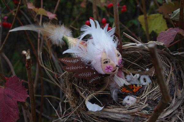 anneeshoofly's tweet photo. Last chick flying the nest in January. `Japan, OZ now NZ What've I done wrong? Here's my Empty Nest @thecustomshouse http://t.co/pM1VUHg2pQ