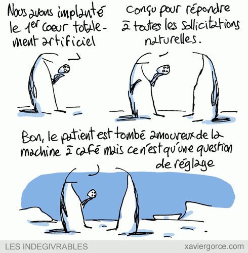 Permalien de l'image intégrée