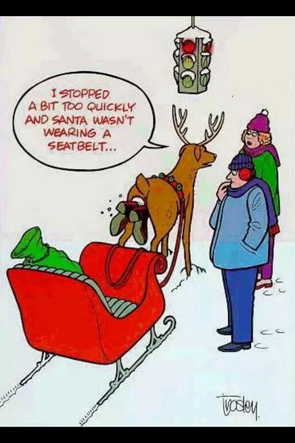 chaterfranks's tweet image. Bit rude but made me laugh with a serious message #beltup #clunkclick