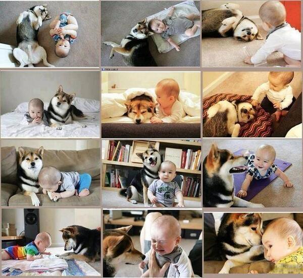 ellnezto's tweet photo. Adorable friendship http://t.co/zYGu55jZPH