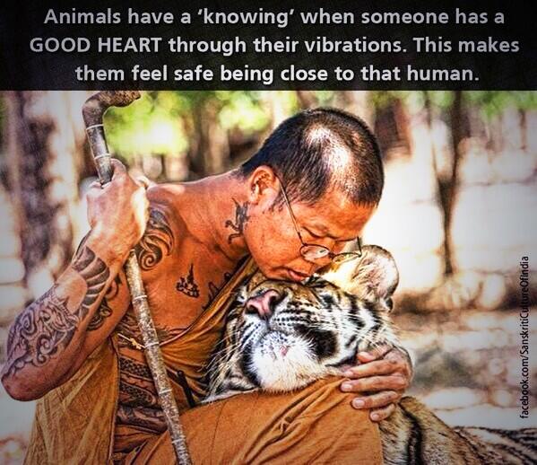 Vegan_Elu's tweet photo. Be that person! #goVegan #love #animals #friends #animalRights #mercy4Animals #friendship #hearth #kindness #feel http://t.co/XOubebijfz