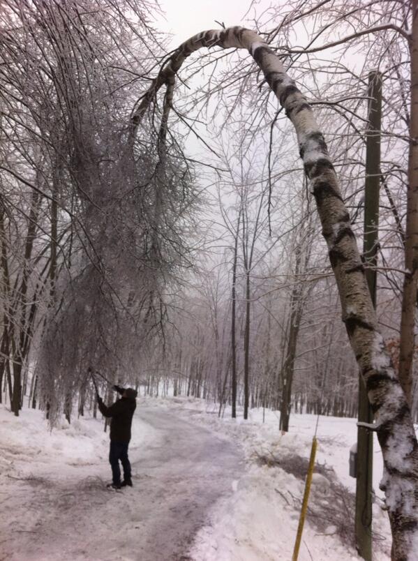 Maryse_Dubuc's tweet image. Autre nouvelle expression : "polyvalent comme un bedeiste quebecois" #verglas #nombrils #delaf