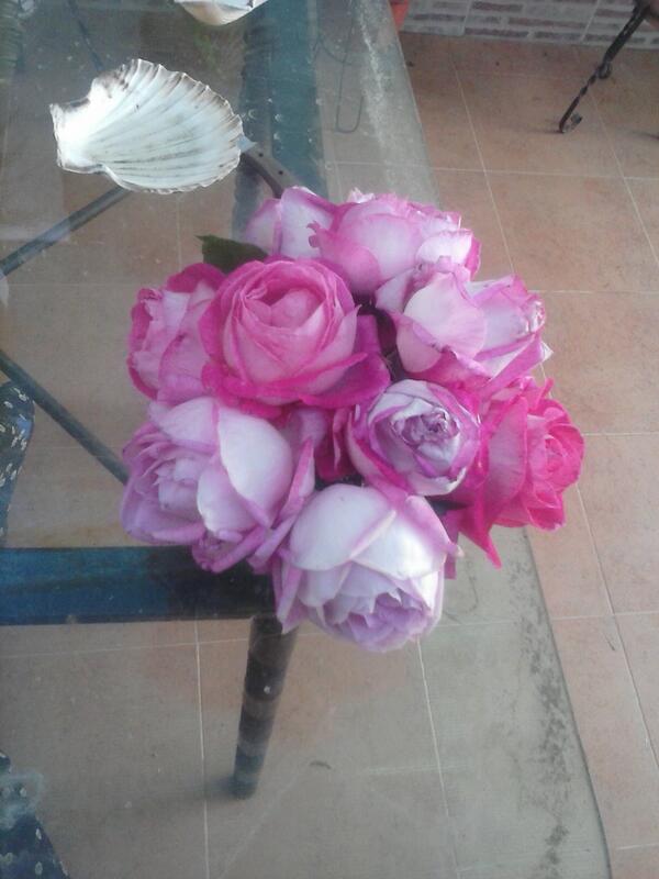 AdeCL's tweet photo. Cogidas de tu jardìn xmi y para ti. http://t.co/XnTkwOgLFZ