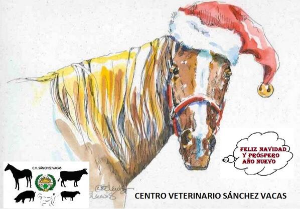 Felices Fiestas!