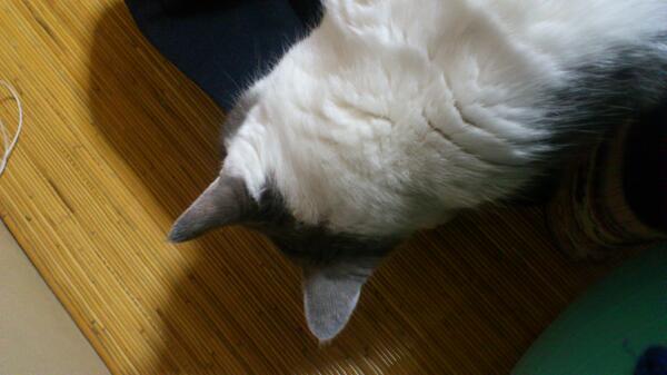 谷口真子 6 B98 Twitter