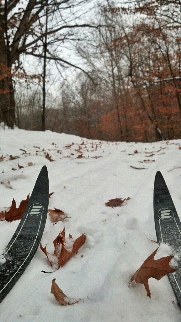 Good day for X country ski streamzoo.com/i/14423512