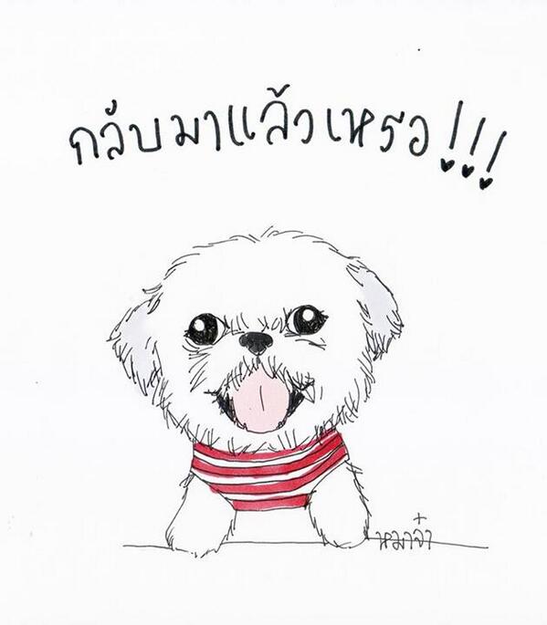 DogpleaseMaaJa's tweet image. กลับมาแล้วเหรอ  :P