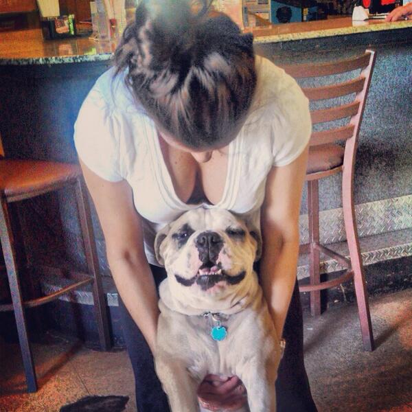 Jen_Royle's tweet photo. All bars should allow dogs http://t.co/qOWdKFpwBQ