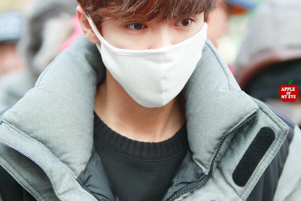 L_APPLEOFMYEYE's tweet photo. 131220 MUSIC BANK 재출근 #EXO #LUHAN PIC02 http://t.co/qTOqcm5CEM http://t.co/CdPCQtIMad