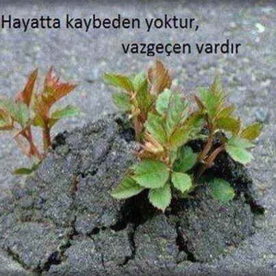 AkglDevil's tweet photo. http://t.co/0gOCkZ2jU1