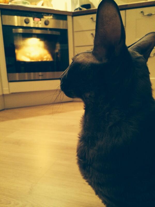 ianen's tweet photo. Kinkkuvahti http://t.co/uc2QZWa7uG