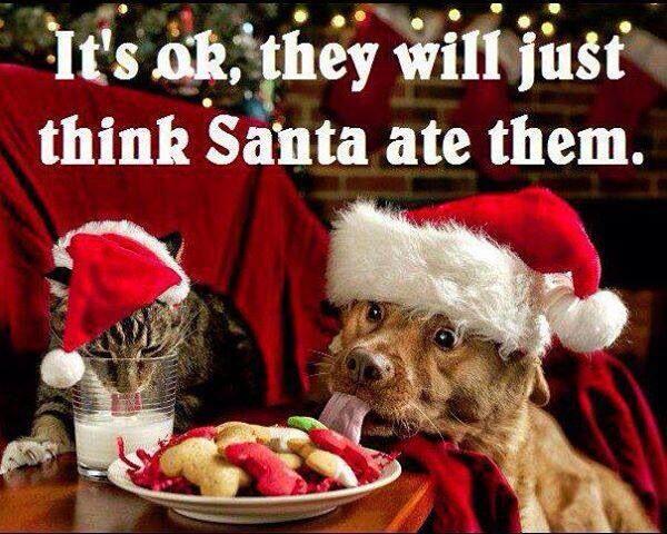 MensHumor's tweet photo. It's ok... http://t.co/MZCB2WmrjM