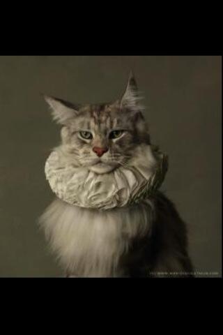 Janypsy's tweet photo. Amazing pics from Marie Cecile Thijs http://t.co/34BgIl91T9