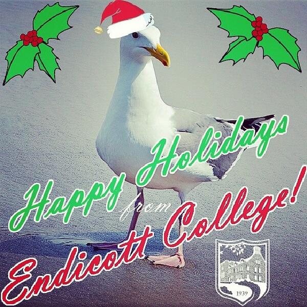 Happy Holidays, Gulls!