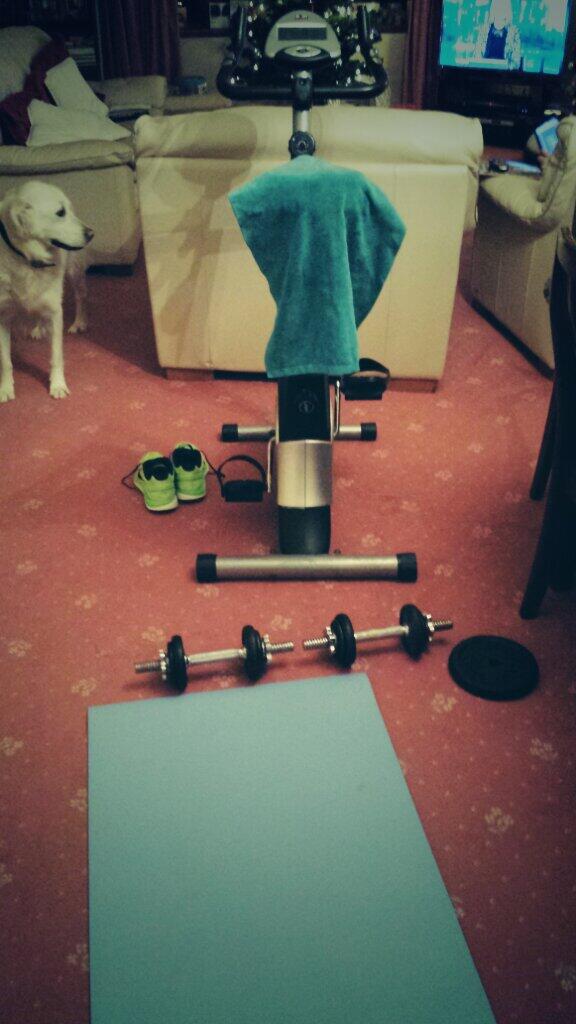 JohnDaveBuckley's tweet image. #homemadegym: circuits, #burpeehell, spinning and yoga and oh the doggy helping out
