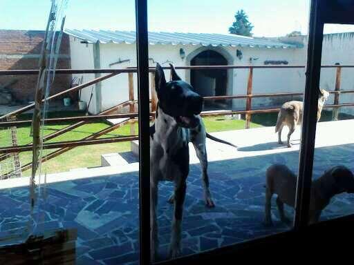jorgegapolo's tweet photo. 6 meses http://t.co/p9z9yUMuae