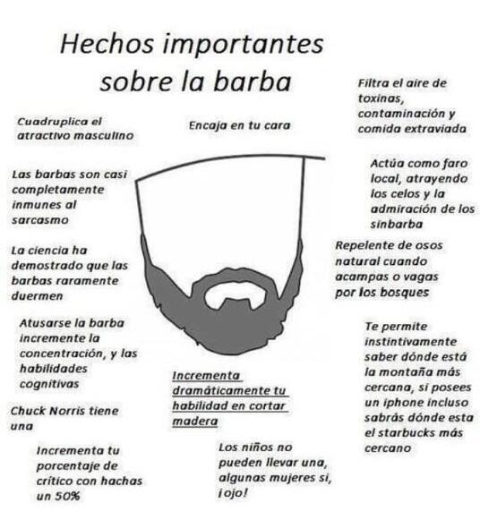 Datos importantes sobre la barba.