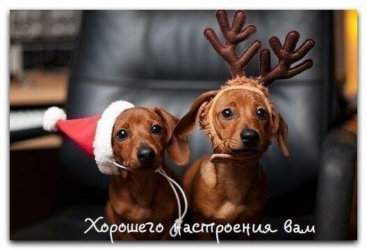 JohnTorodel's tweet photo. @tatyana3988 http://t.co/RmYpmkyHxL