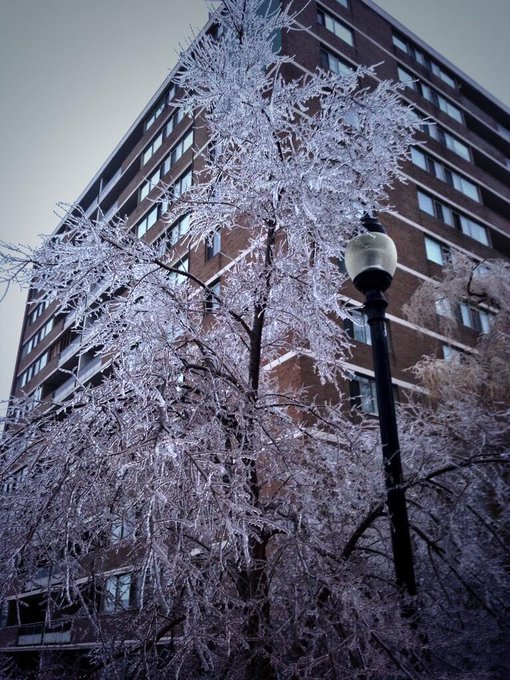 Toronto #icestorm http://t.co/vQWATNDm8T<a href="/tag/icestorm"class="tags">#icestorm</a>