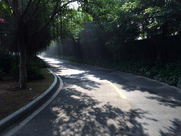 liyuewu's tweet photo. 天气好赞♪（ｖ＾＿＾）ｖ http://t.co/rPvz7OrZhf